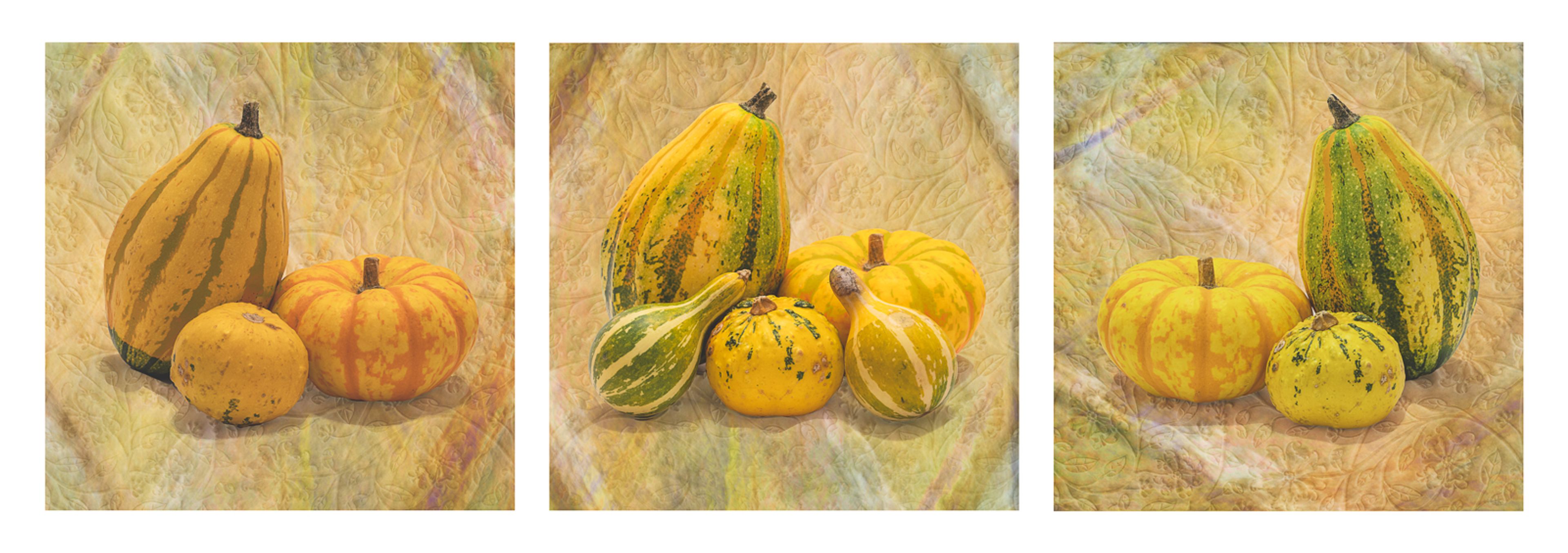 Gourd Still Life by Peter Bayliss